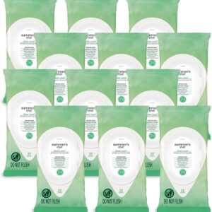 Summer's Eve Aloe Love Feminine Wipes, pH Balanced, 32 Ct (12 Pack)