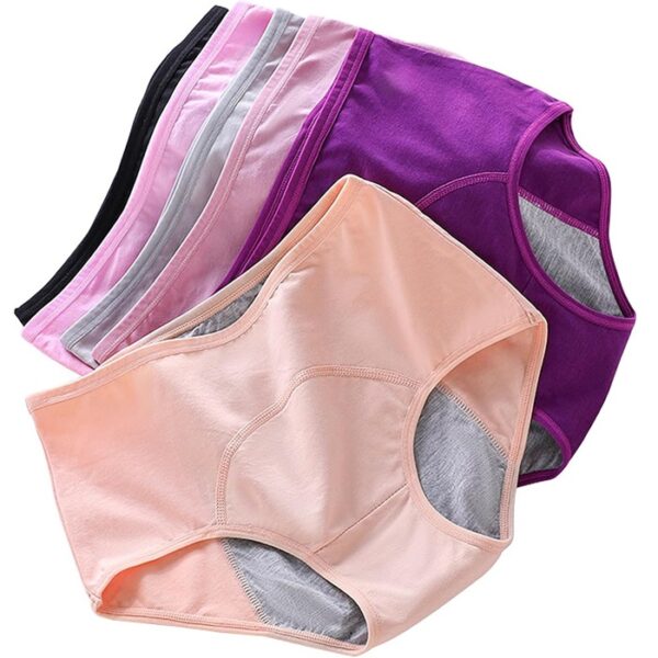 Overnight Cotton Incontinence Underwear for Women, Multi Color, Small