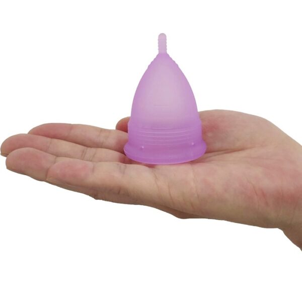 Reusable Menstrual Cup Set of 4, 2 small & 2 large 2